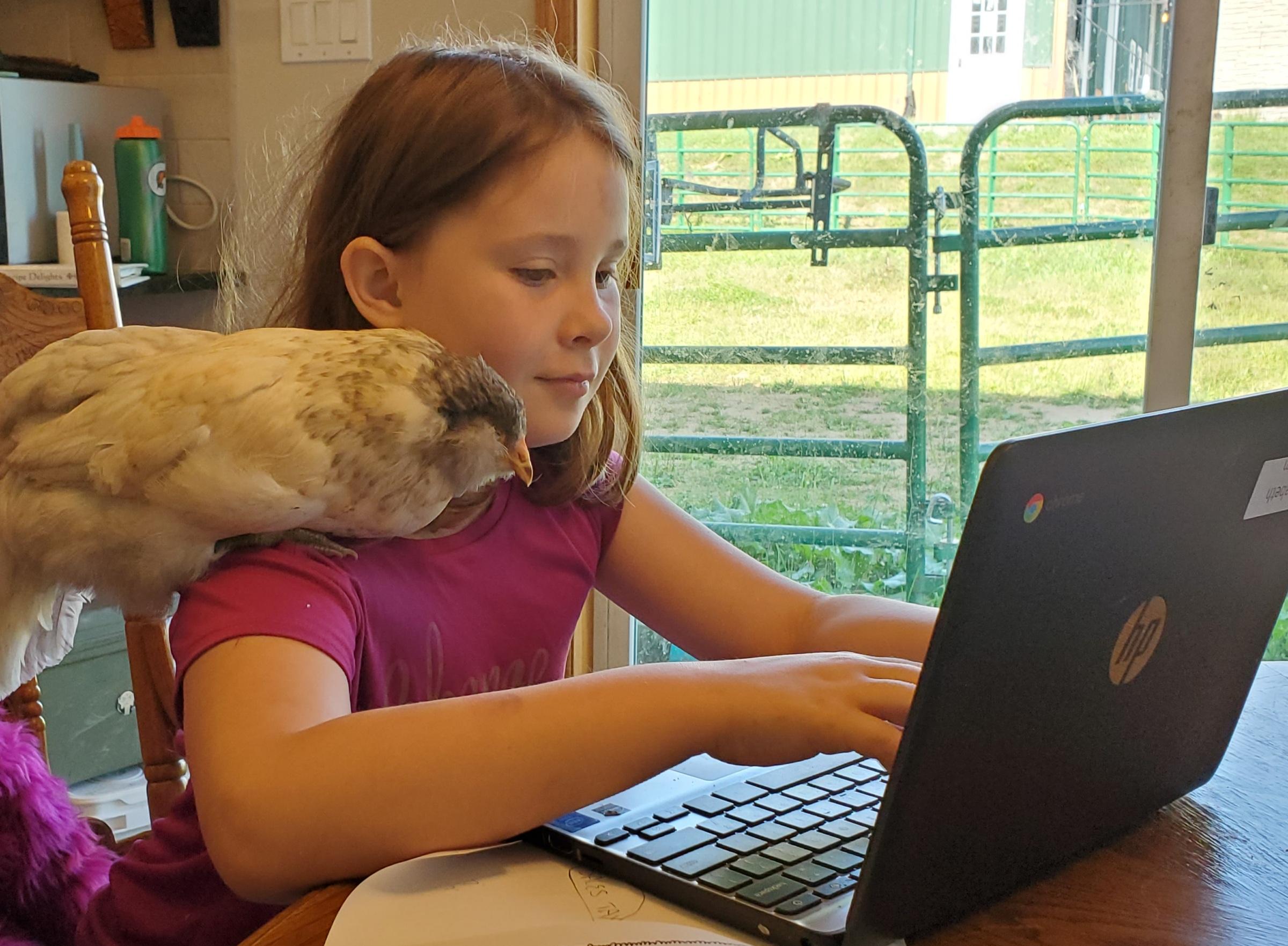 child using a laptop