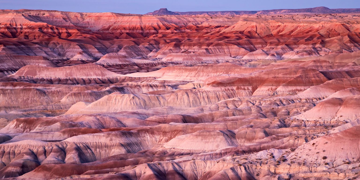 painted desert