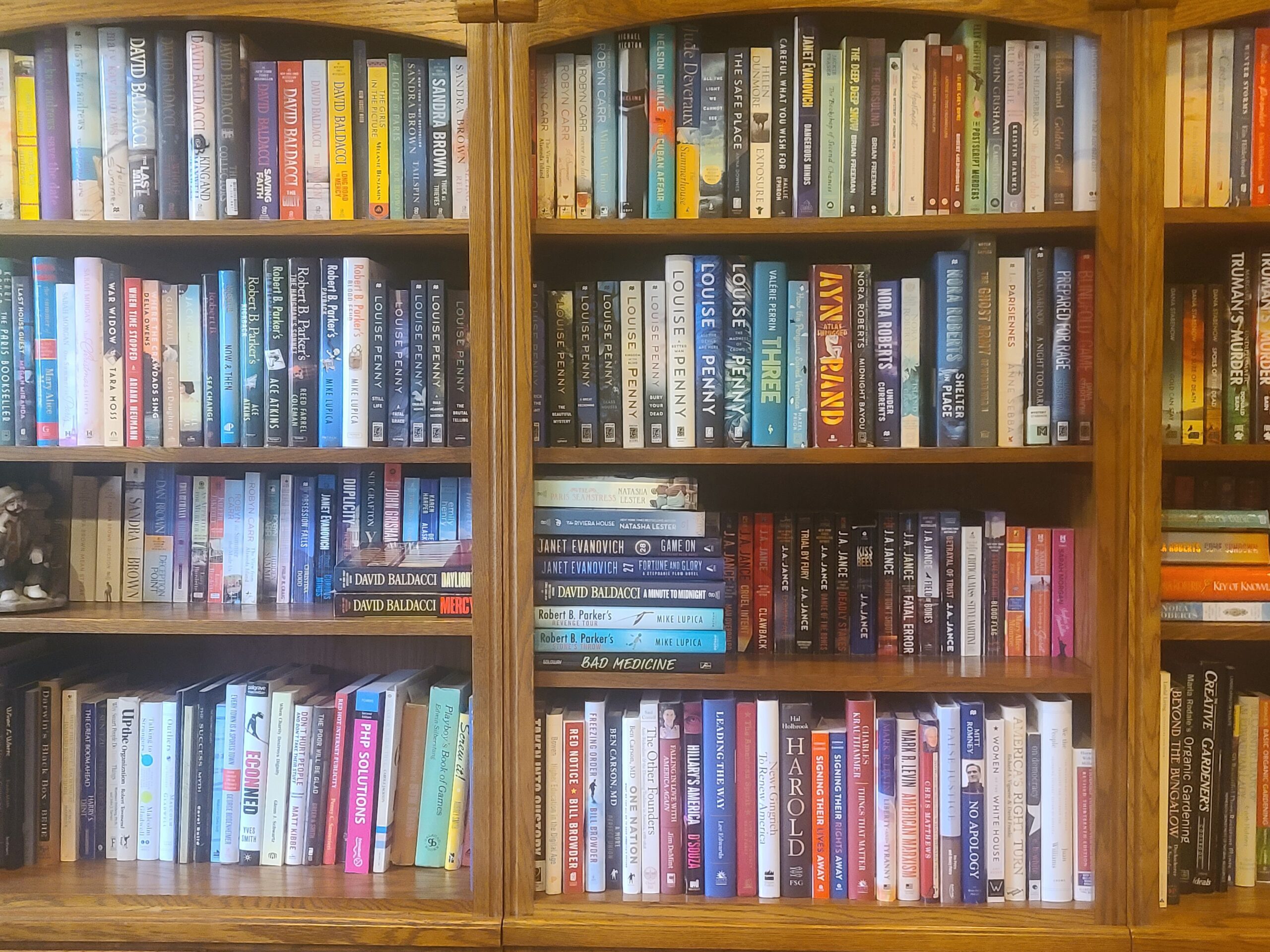 bookcase full of books