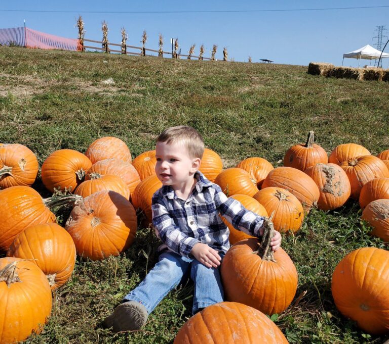 a child in a pumpkin field