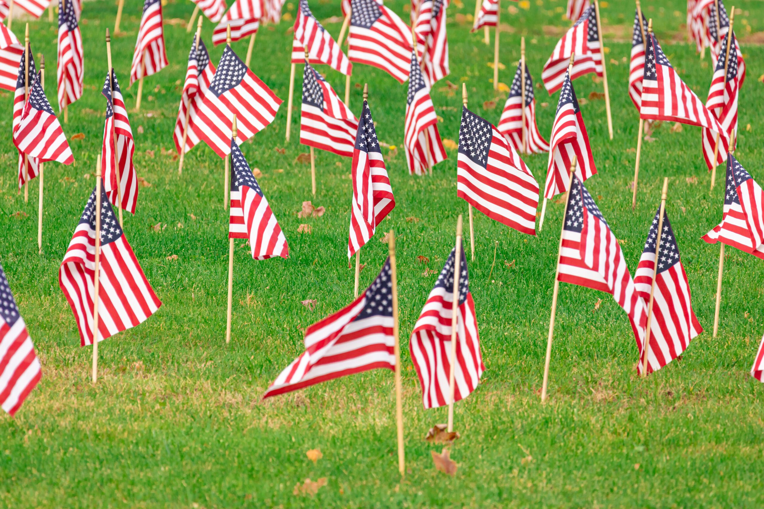 american flags in ground