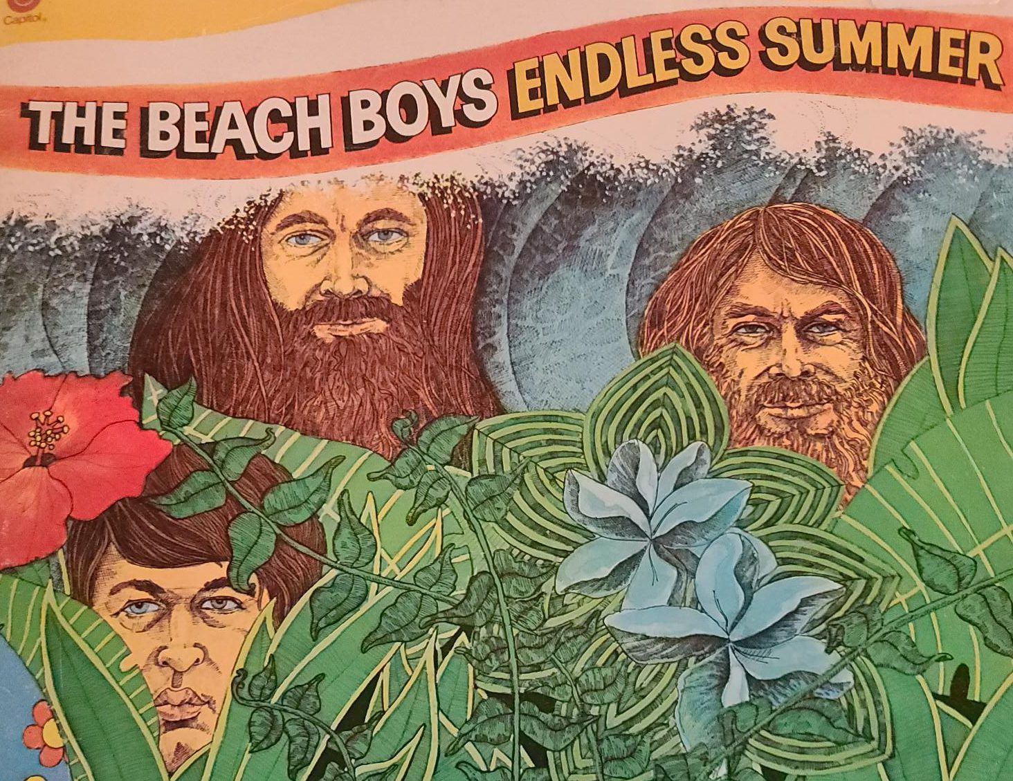 Beach Boys album cover